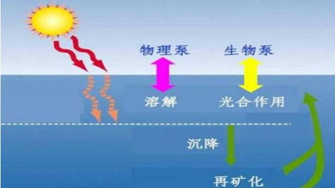 化学海洋学
